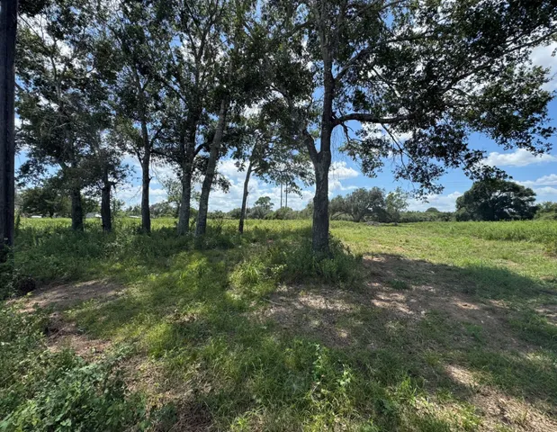 a view of backyard with green space
