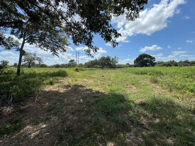 a view of a big yard with a large trees