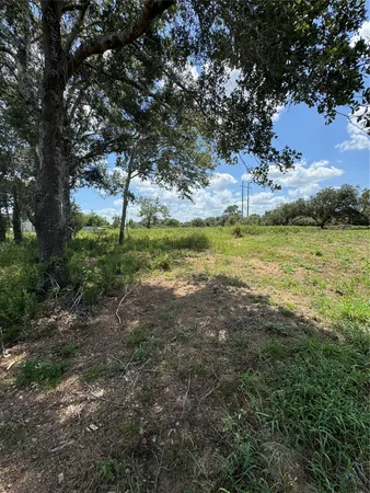 a view of swimming pool with a yard