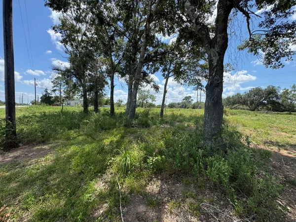 a view of backyard with green space