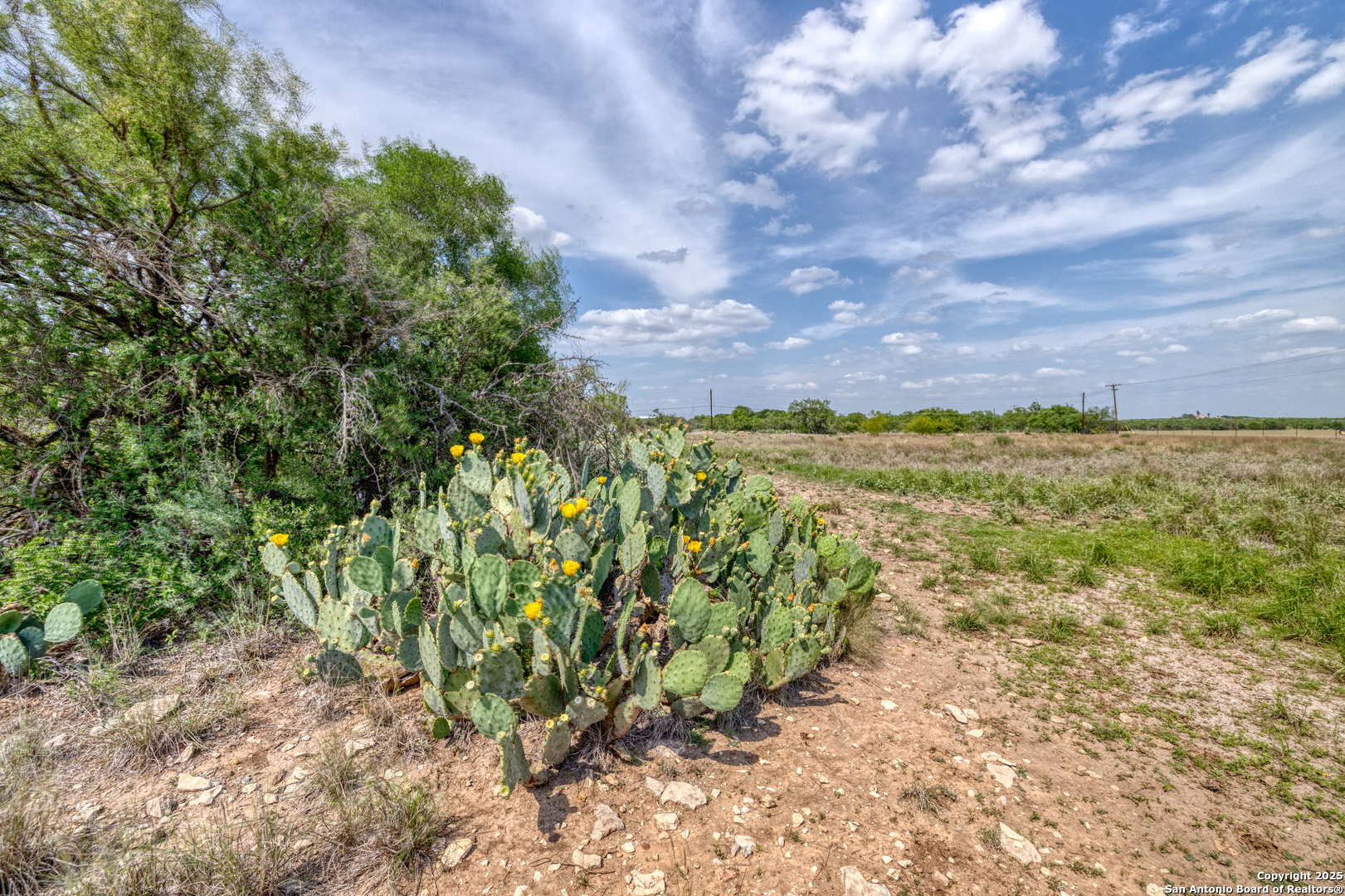 433 Mills Lane Uvalde, TX 78801 - Photo 30 of 51 a view of a bunch of plants and trees