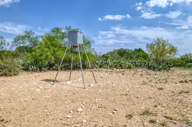 a view of a park with a slide
