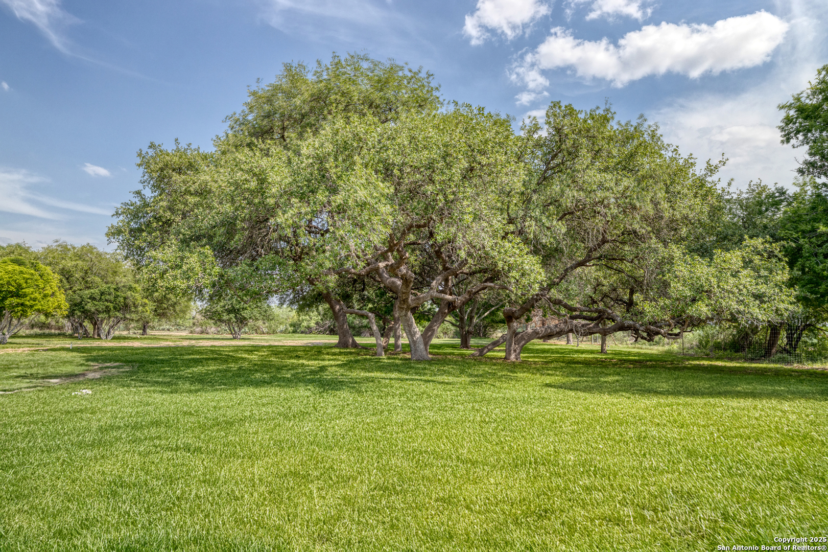 433 Mills Lane Uvalde, TX 78801 - Photo 34 of 51 a view of a grassy field with trees