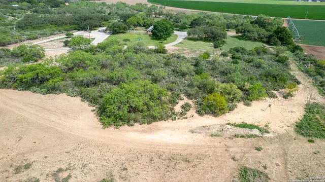 an aerial view of residential houses with outdoor space and trees