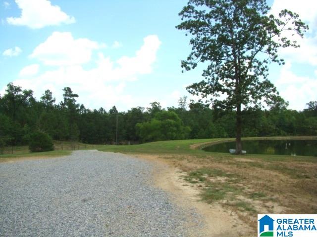127 Poes Bend Road Ohatchee, AL 36271 - Photo 12 of 31