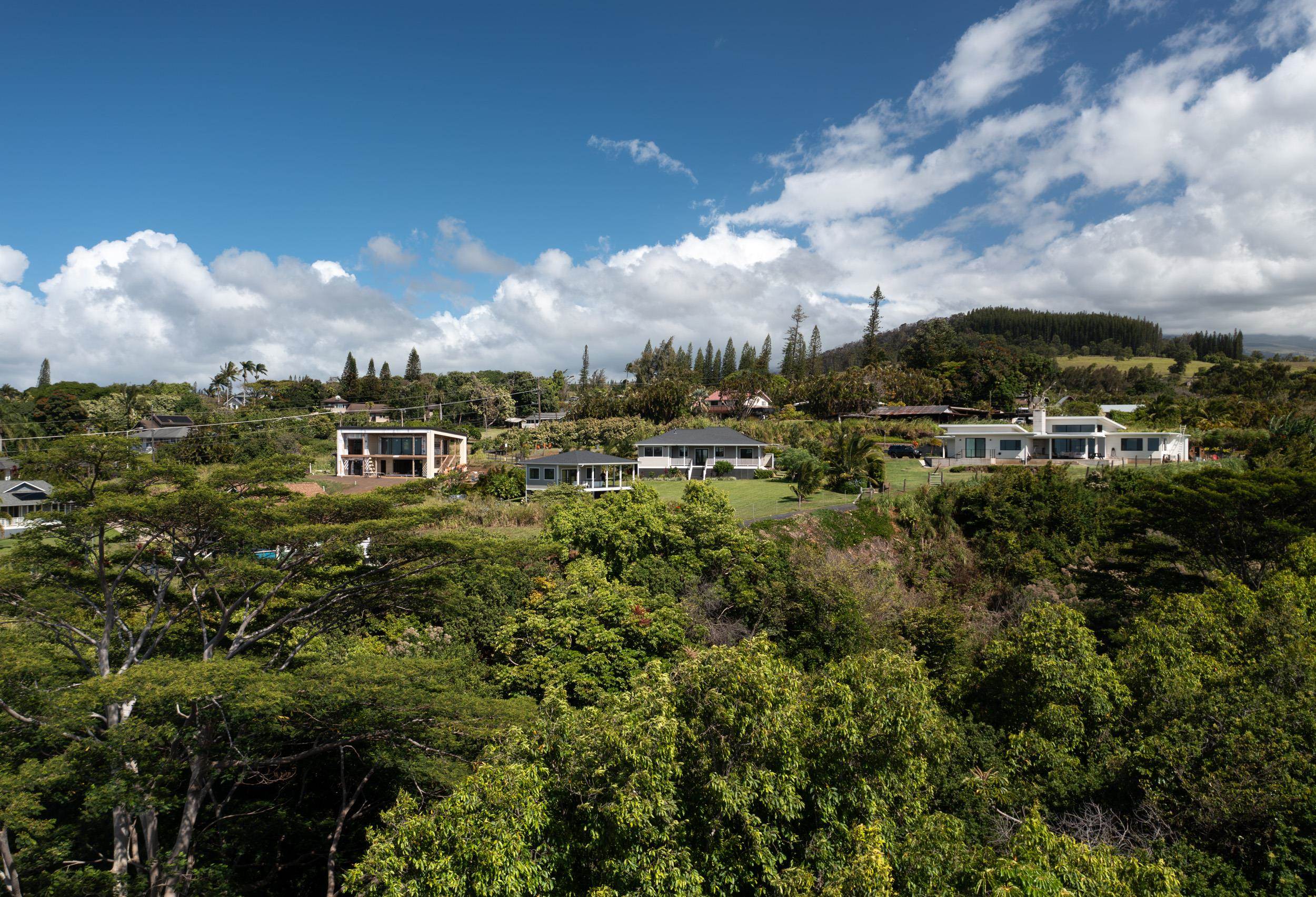 125 Hekuawa Street, Unit B Haiku, HI 96708 - Photo 41 of 50 a view of a city