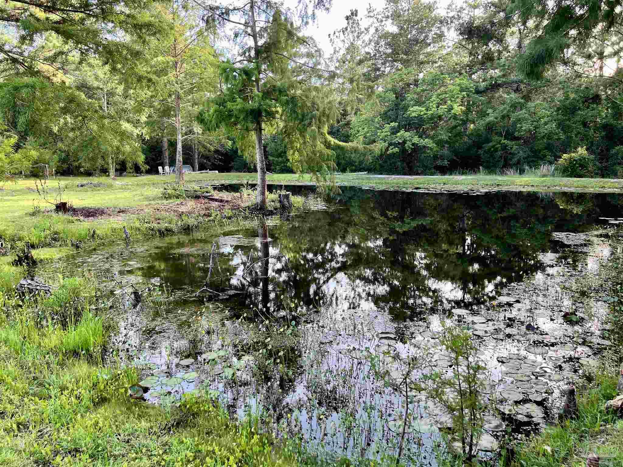 1913 Filly Road Cantonment, FL 32533 - Photo 9 of 50 Pond