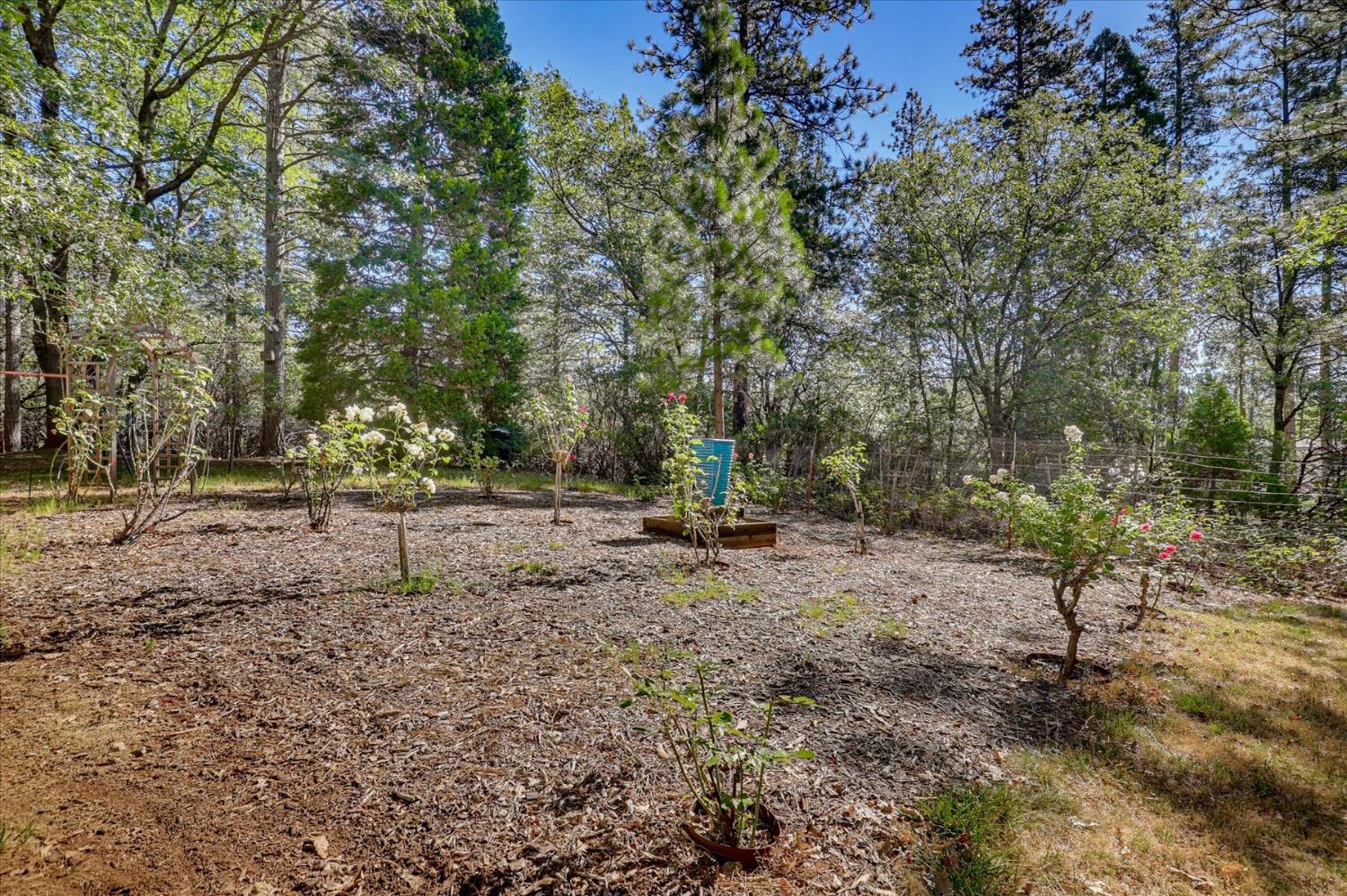 14333 Brooks Road Grass Valley, CA 95945 - Photo 75 of 99 Gallery Image 75