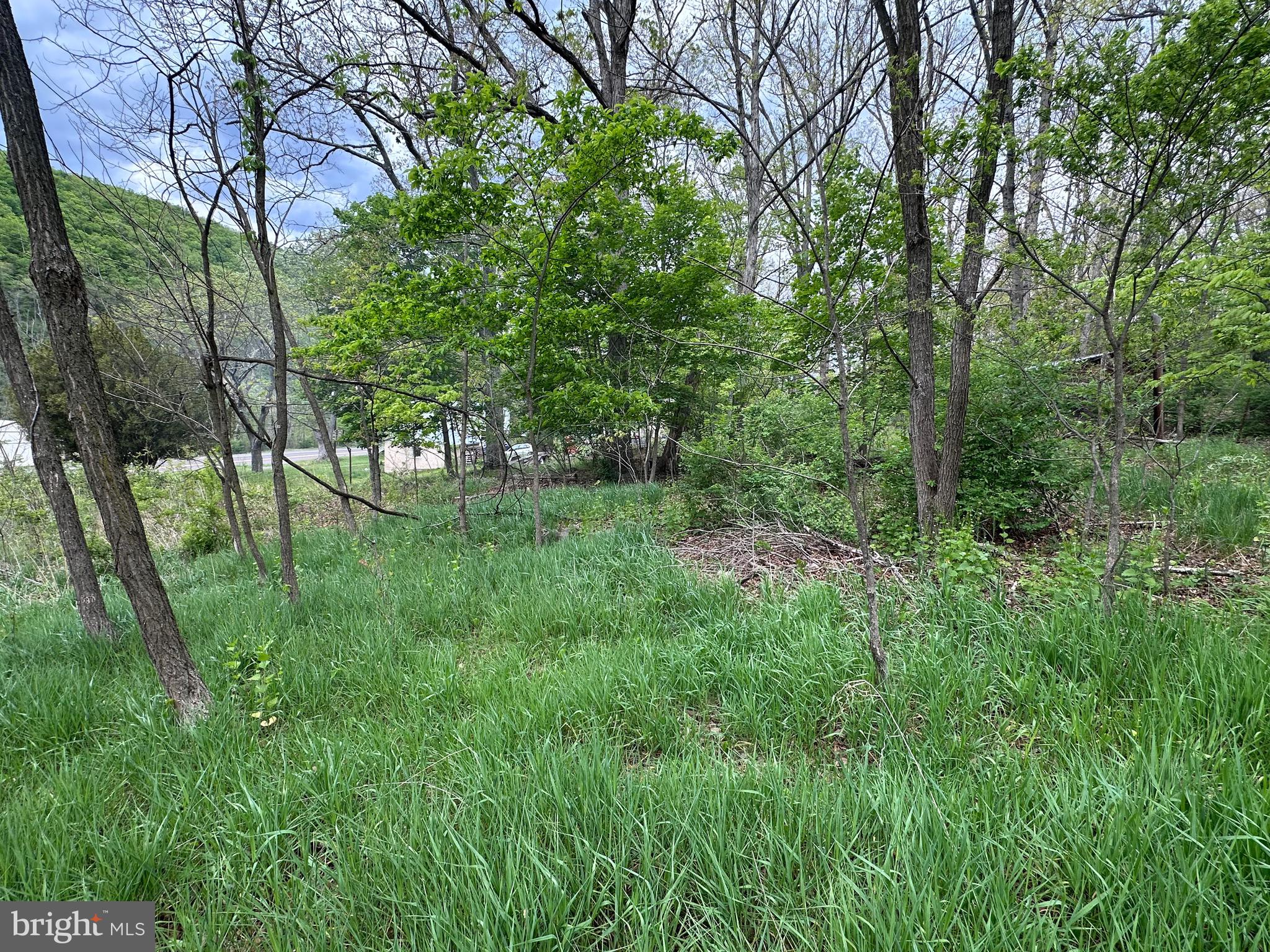 0 Cut Off Road Keyser, WV 26726 - Photo 10 of 11 Gallery Image 10