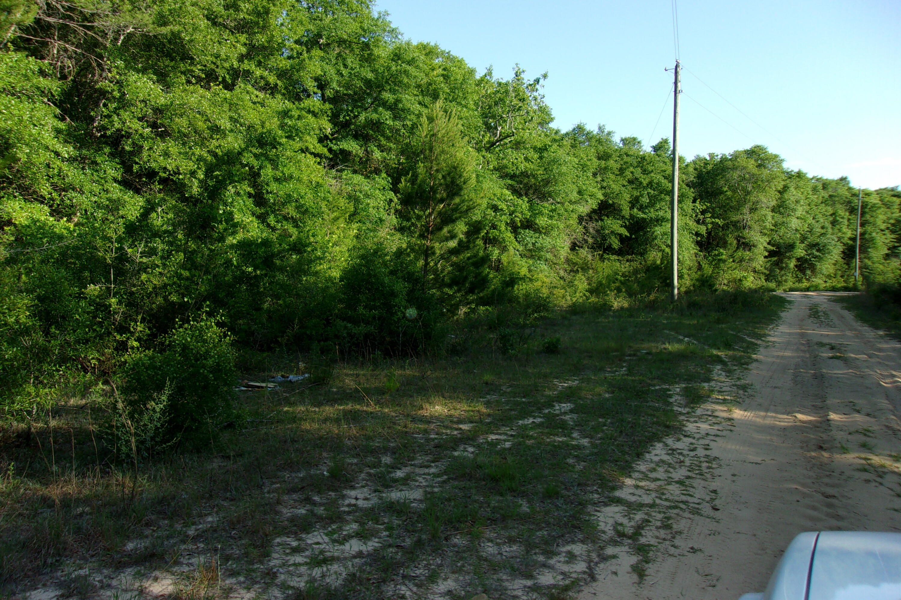 Xx East Bunting Way Crestview, FL 32539 - Photo 5 of 8 a backyard of a house with lots of green space