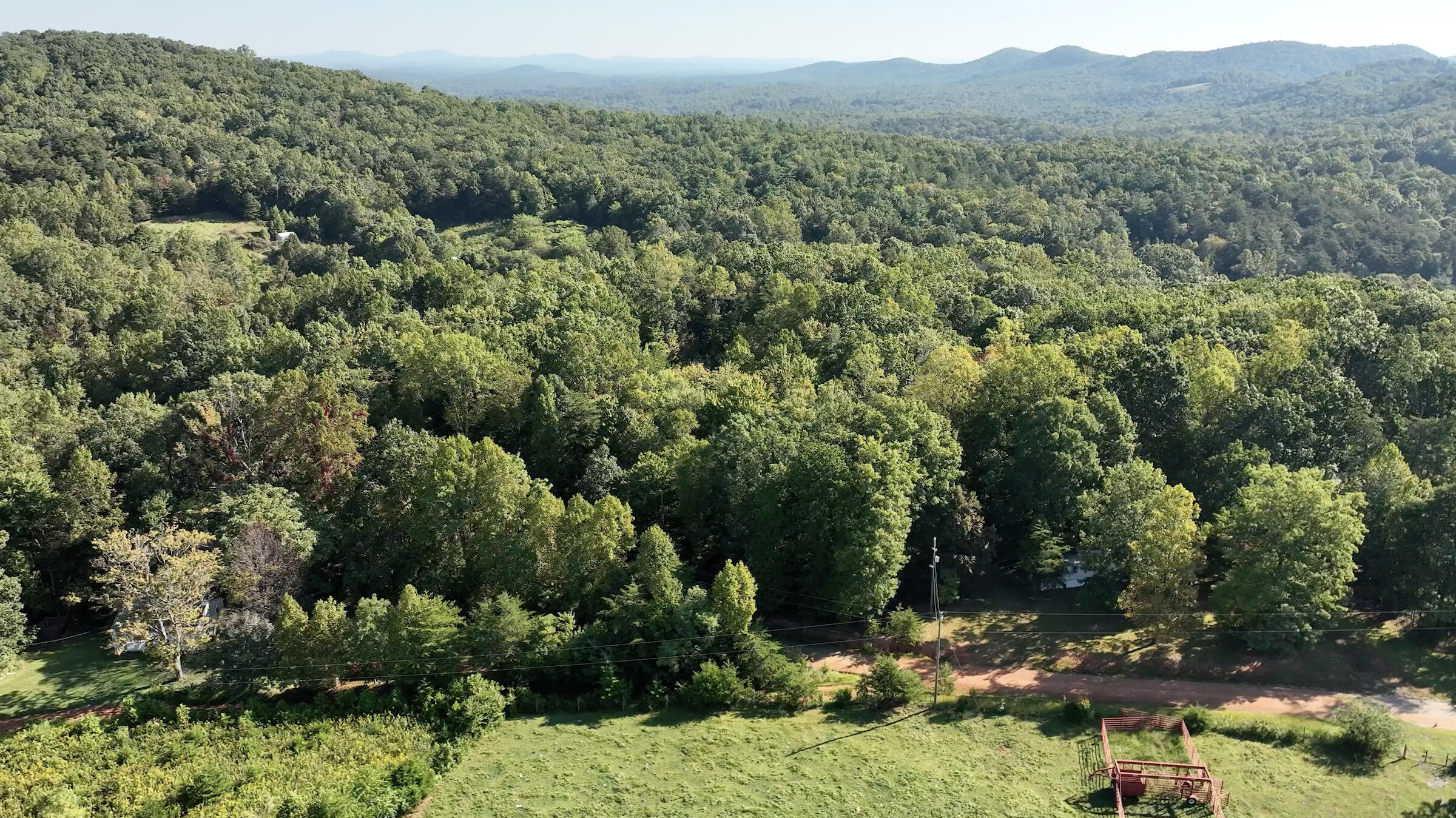 113 Foley Road Stuart, VA 24171 - Photo 3 of 14 a view of a forest with a house