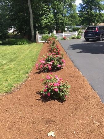 13 Fencourt Road Canton, MA 02021 - Photo 5 of 12