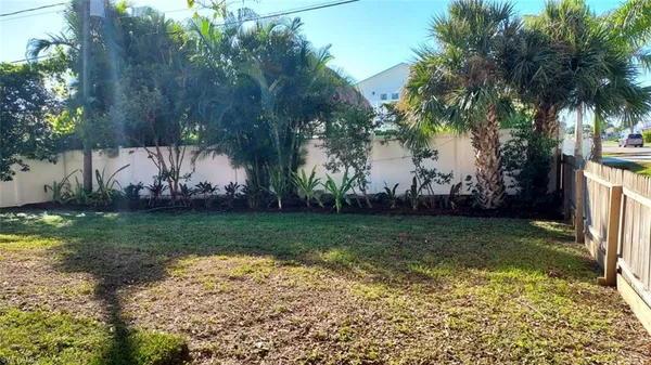 a view of a backyard