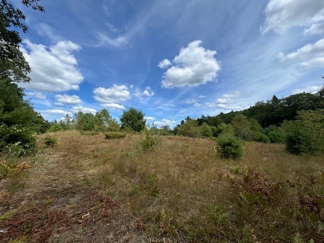 0 Holt Road Ashburnham, MA 01430 - Photo 6 of 7 a view of a big yard with lots of tress in it
