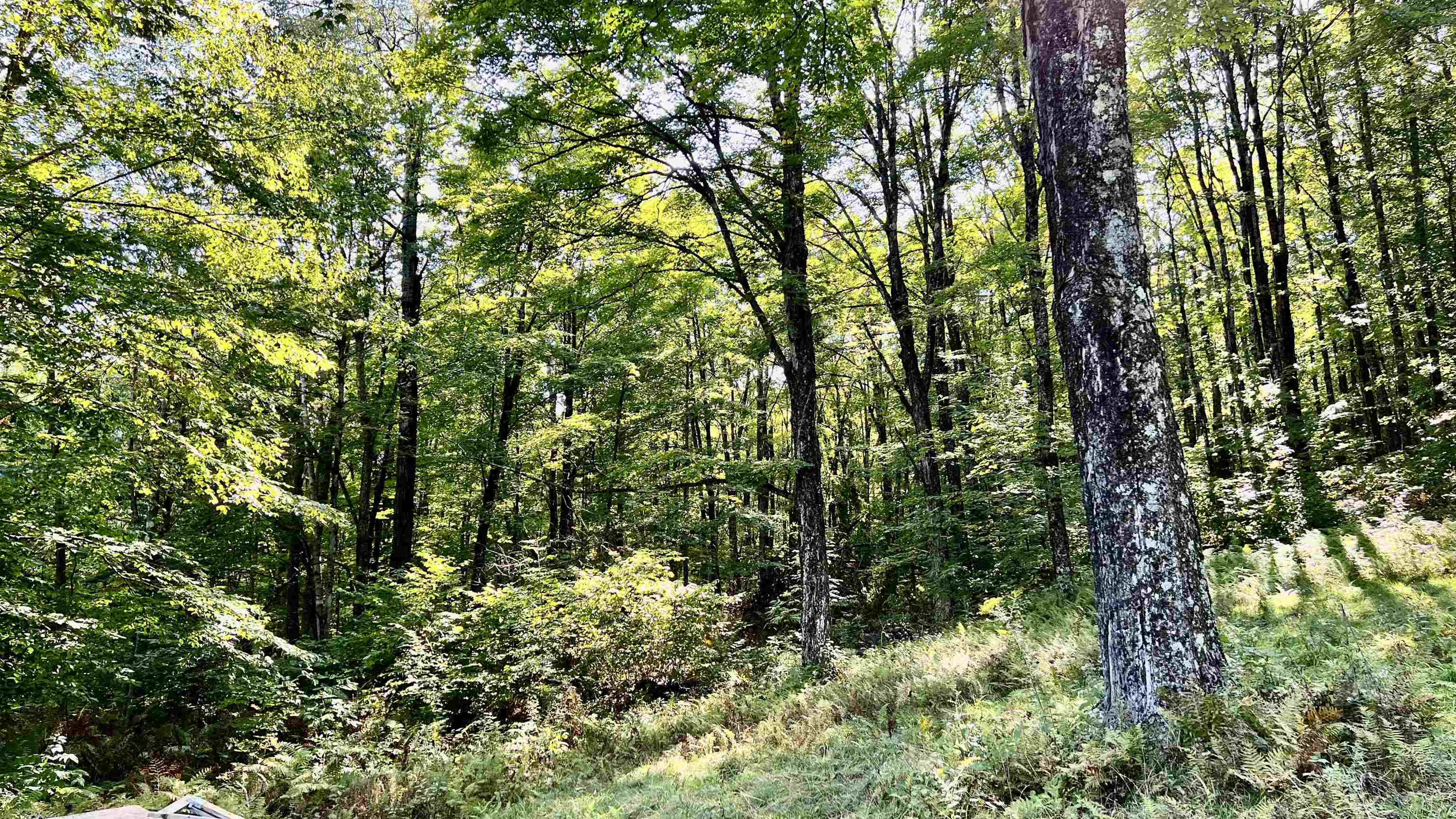 2075 Codding Hollow Road Johnson, VT 05656 - Photo 47 of 59