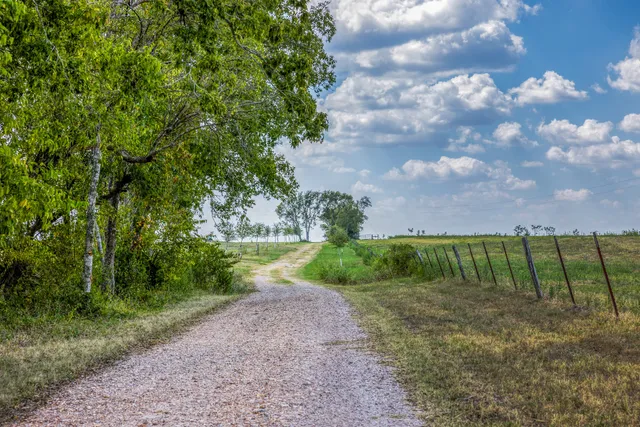 a view of a big yard with lots of bushes