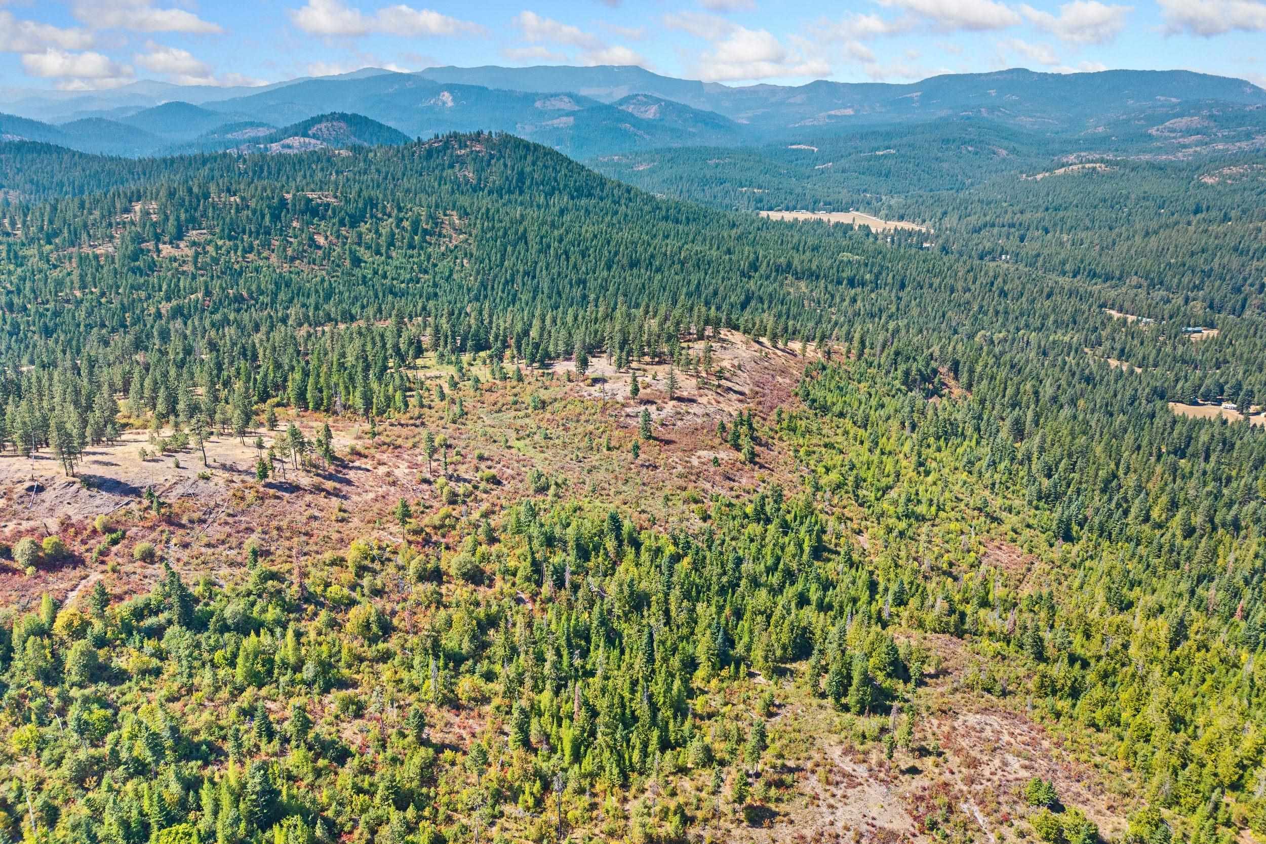 Nka Hoag Road Valley, WA 99181 - Photo 31 of 35 Gallery Image 31