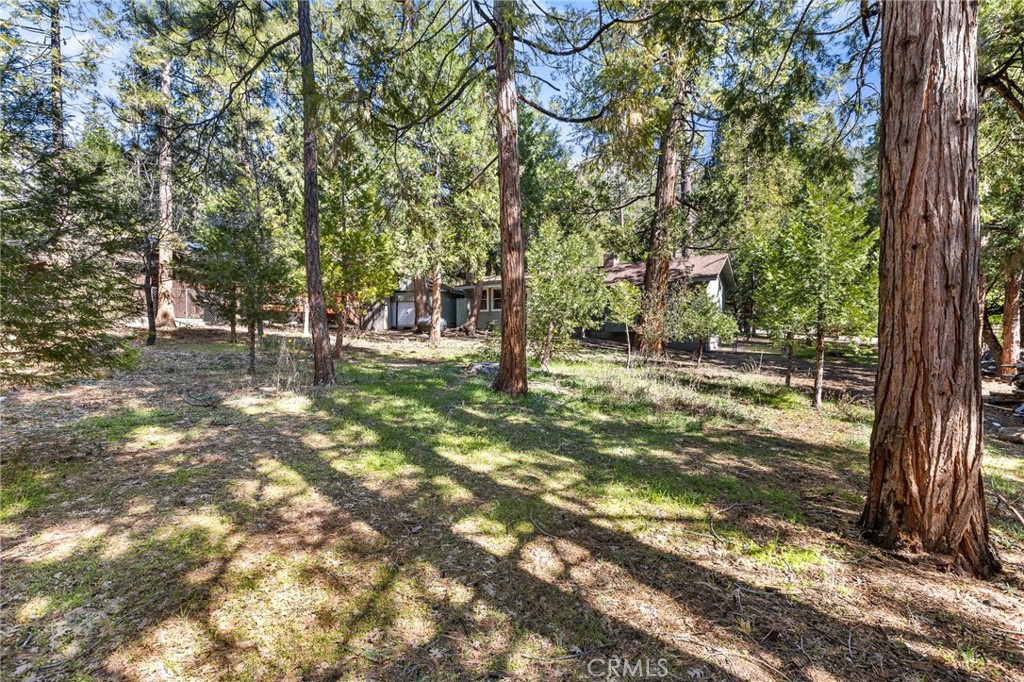 25455 Tahquitz Road Idyllwild, CA 92549 - Photo 21 of 25 a backyard of a house with lots of green space