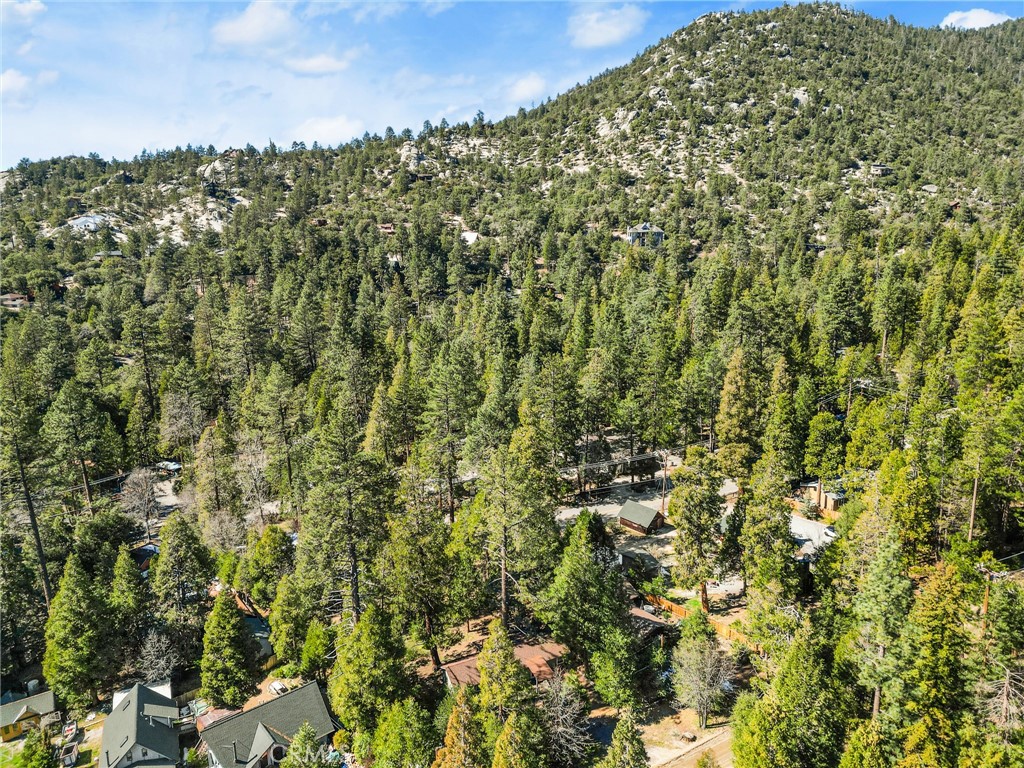 25455 Tahquitz Road Idyllwild, CA 92549 - Photo 22 of 25 a view of a large yard with lots of green space