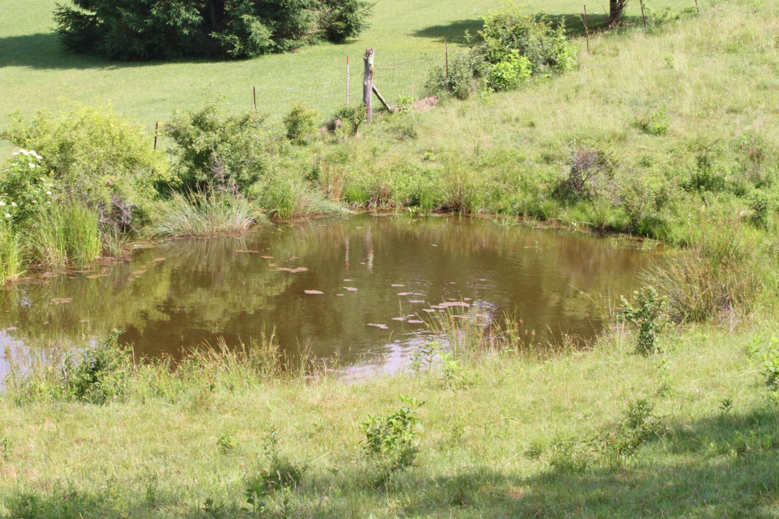Knobs Rd Union Union, WV 24983 - Photo 20 of 21 Gallery Image 20