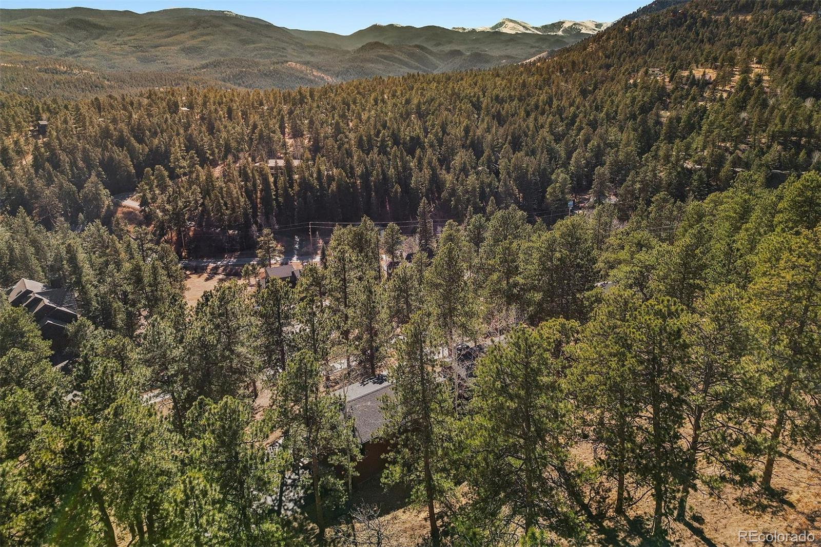 67 Oak Way Evergreen, CO 80439 - Photo 22 of 44 a view of mountain and trees