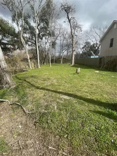 a view of a yard with a large tree