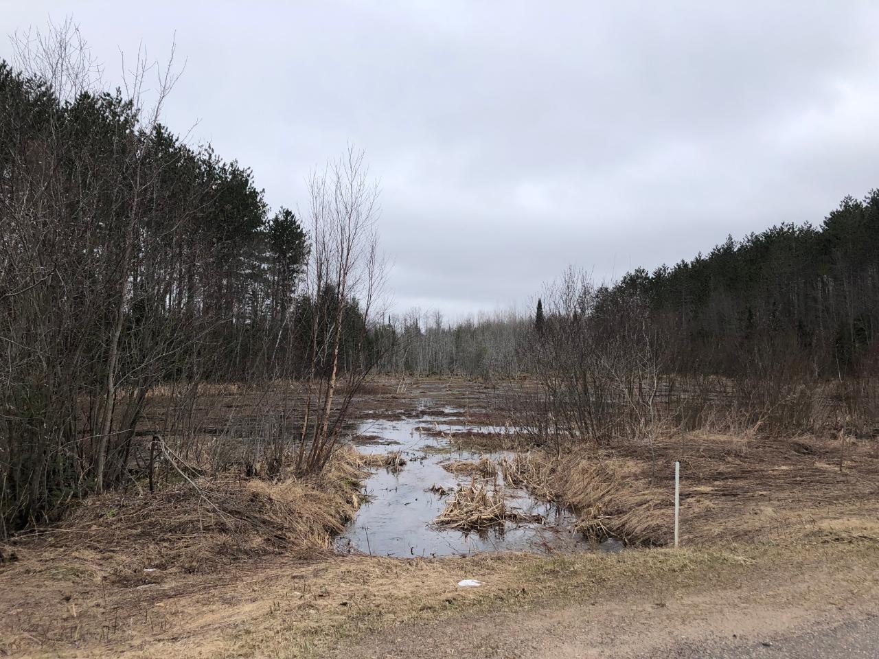 8 South Rd Crandon Wi 54520 Road Crandon, WI 54520 - Photo 7 of 38 Gallery Image 7