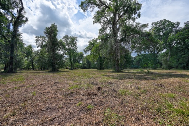 Tbd Pryor Road Brookshire, TX 77423 - Photo 13 of 31 Gallery Image 13