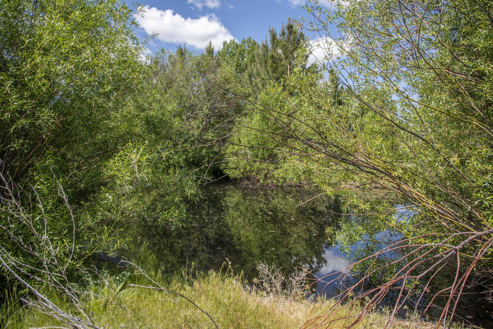 25800 Alfalfa Market Road Bend, OR 97701 - Photo 14 of 33 14-web-or-mls-DSC_1168