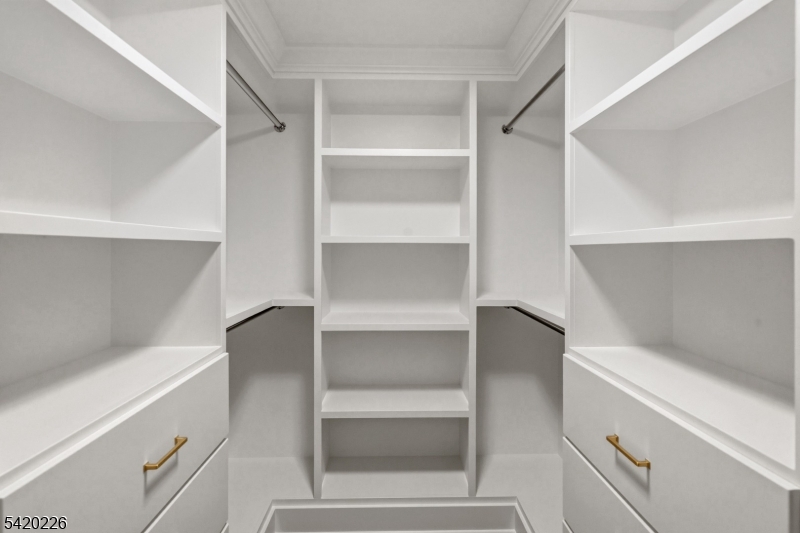 732 Embree Crescent Westfield, NJ 07090 - Photo 26 of 47 a view of an empty walk in closet