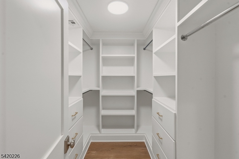 732 Embree Crescent Westfield, NJ 07090 - Photo 27 of 47 a view of walk in closet with empty racks