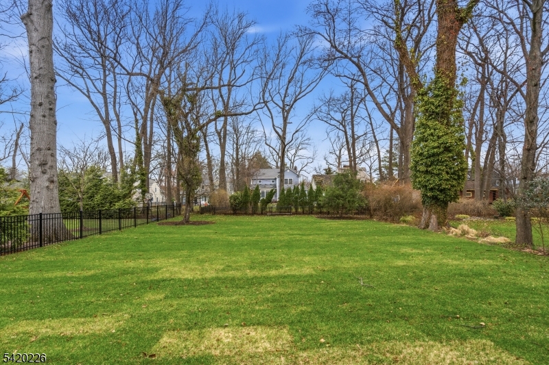 732 Embree Crescent Westfield, NJ 07090 - Photo 39 of 47 a view of a grassy field with trees