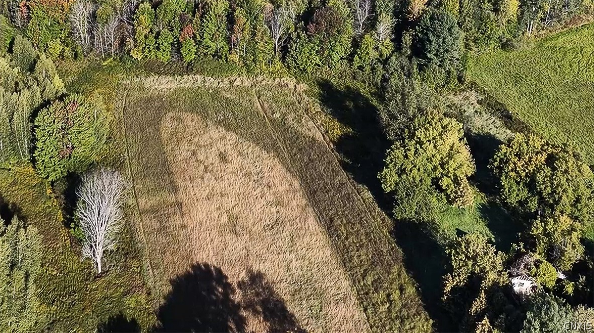 3 acre parcel with property (on right of photo) as you walk into property from East Rd