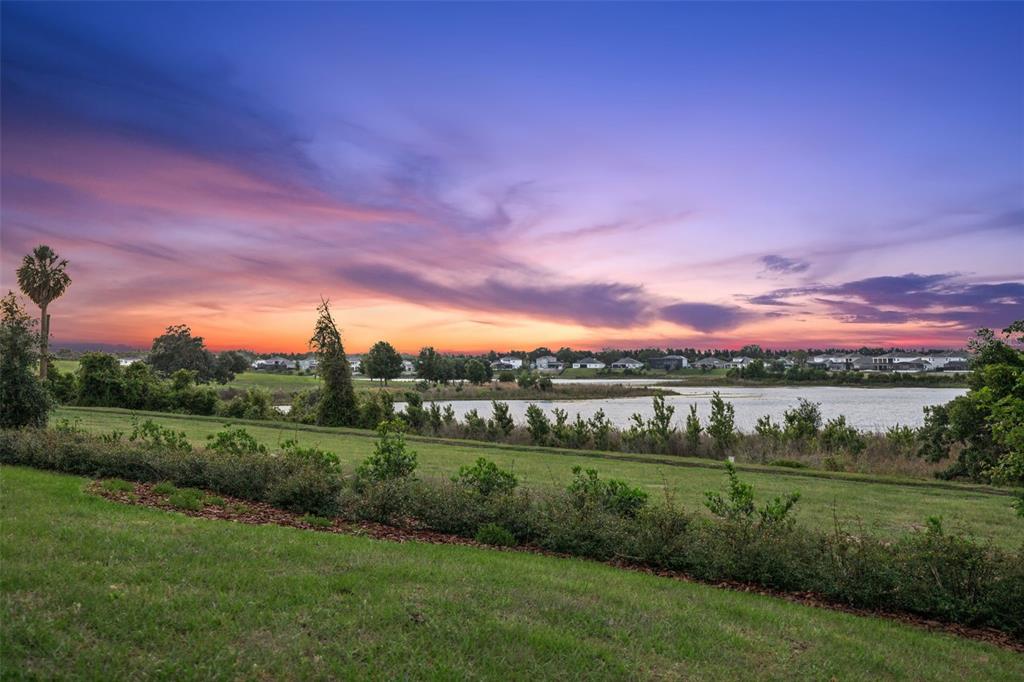 16161 Barkly Rdg Court Winter Garden, FL 34787 - Photo 52 of 53