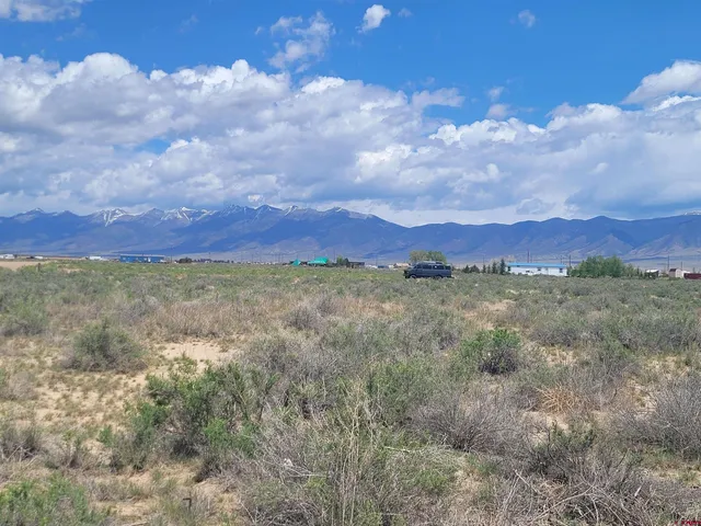 a view of a large trees with lots of trees in the background