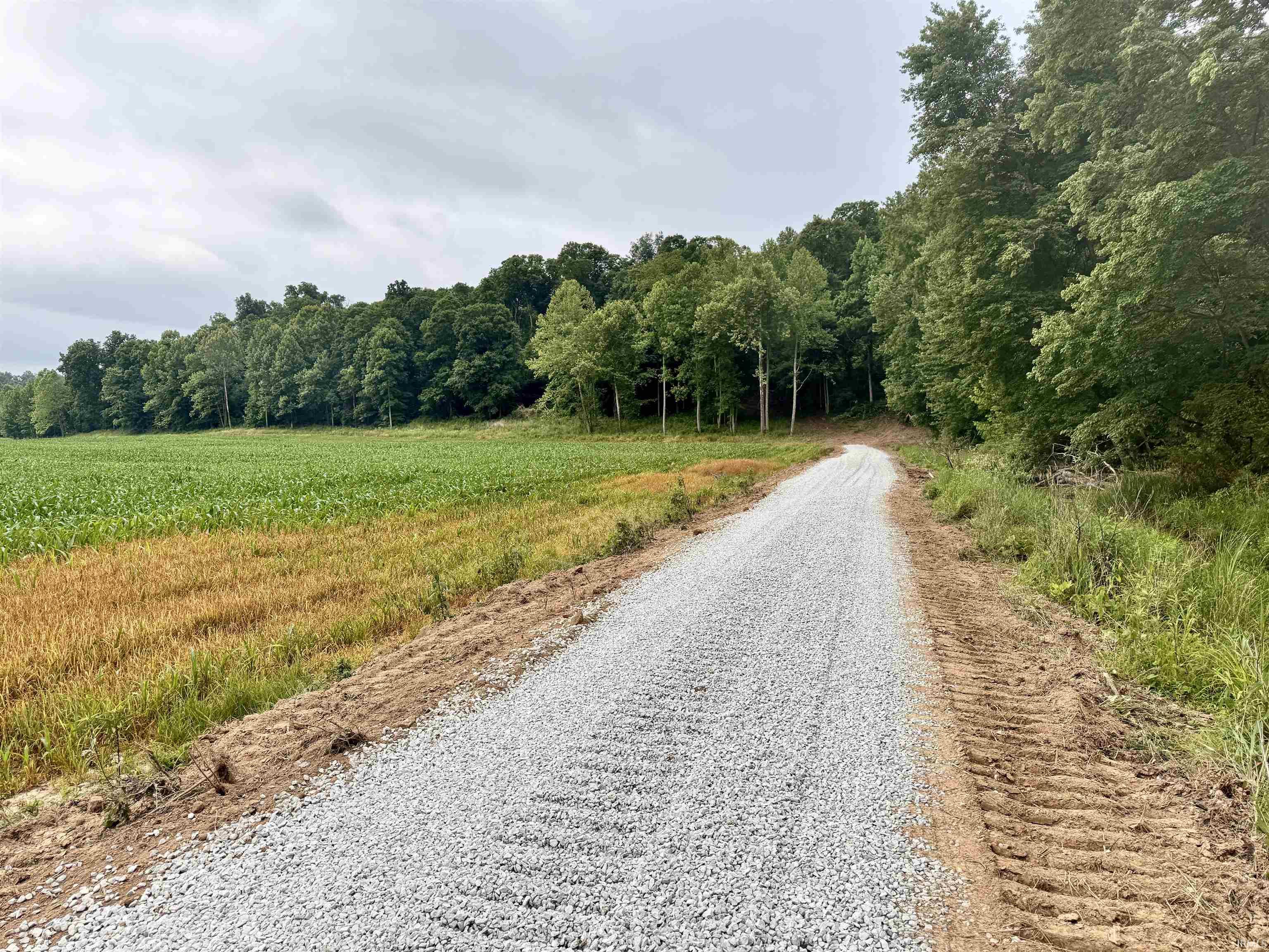 State Road Shoals, IN 47581 - Photo 4 of 25