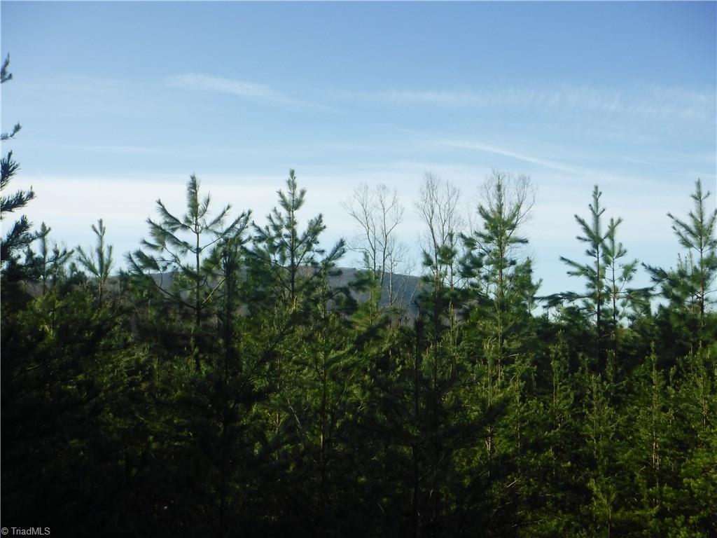 0 Rockhouse Road Pinnacle, NC 27043 - Photo 11 of 12 Gallery Image 11