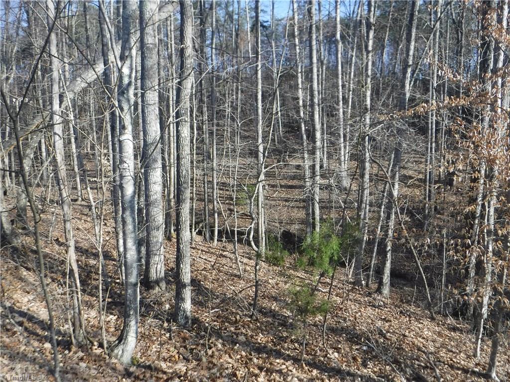 0 Rockhouse Road Pinnacle, NC 27043 - Photo 12 of 12 Gallery Image 12