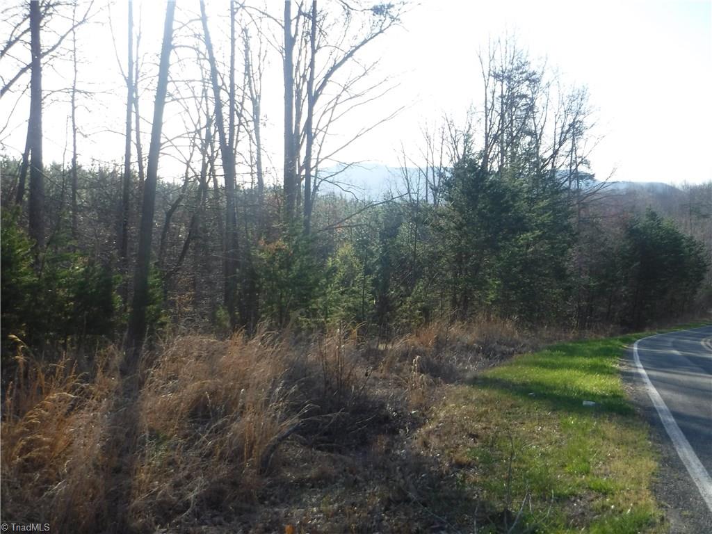 0 Rockhouse Road Pinnacle, NC 27043 - Photo 3 of 12 Gallery Image 3