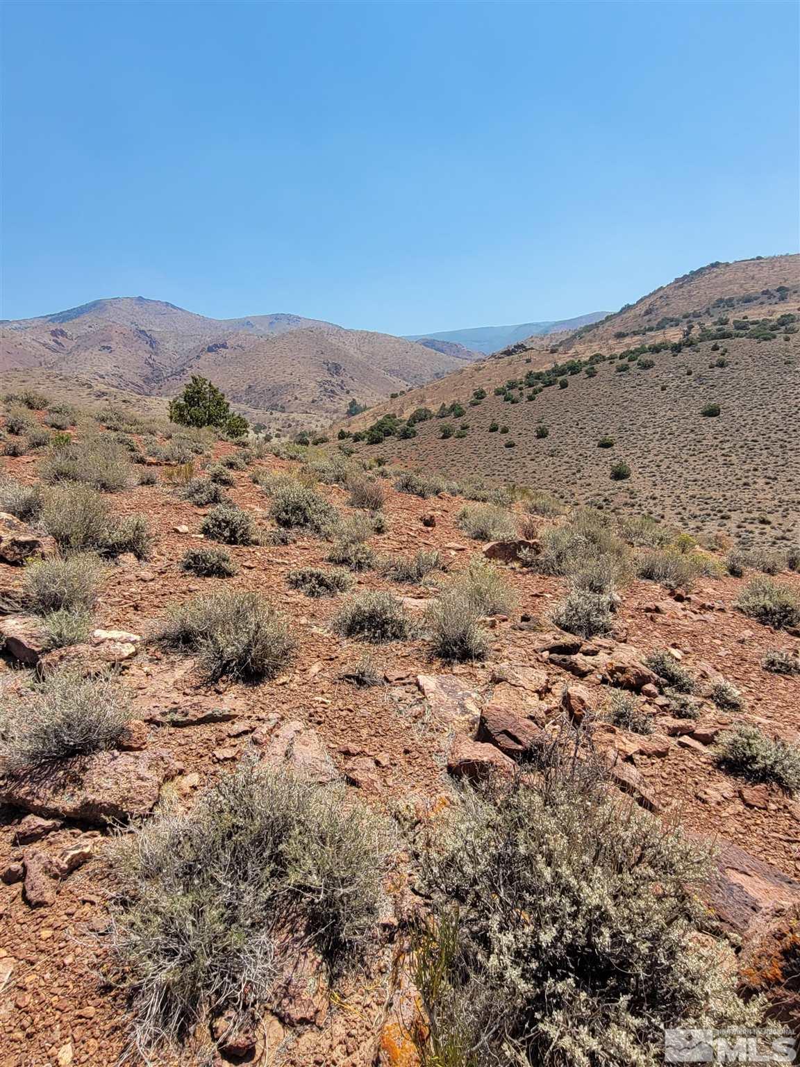 1955 Piute Creek Road Reno, NV 89510 - Photo 9 of 18 a view of a mountain view