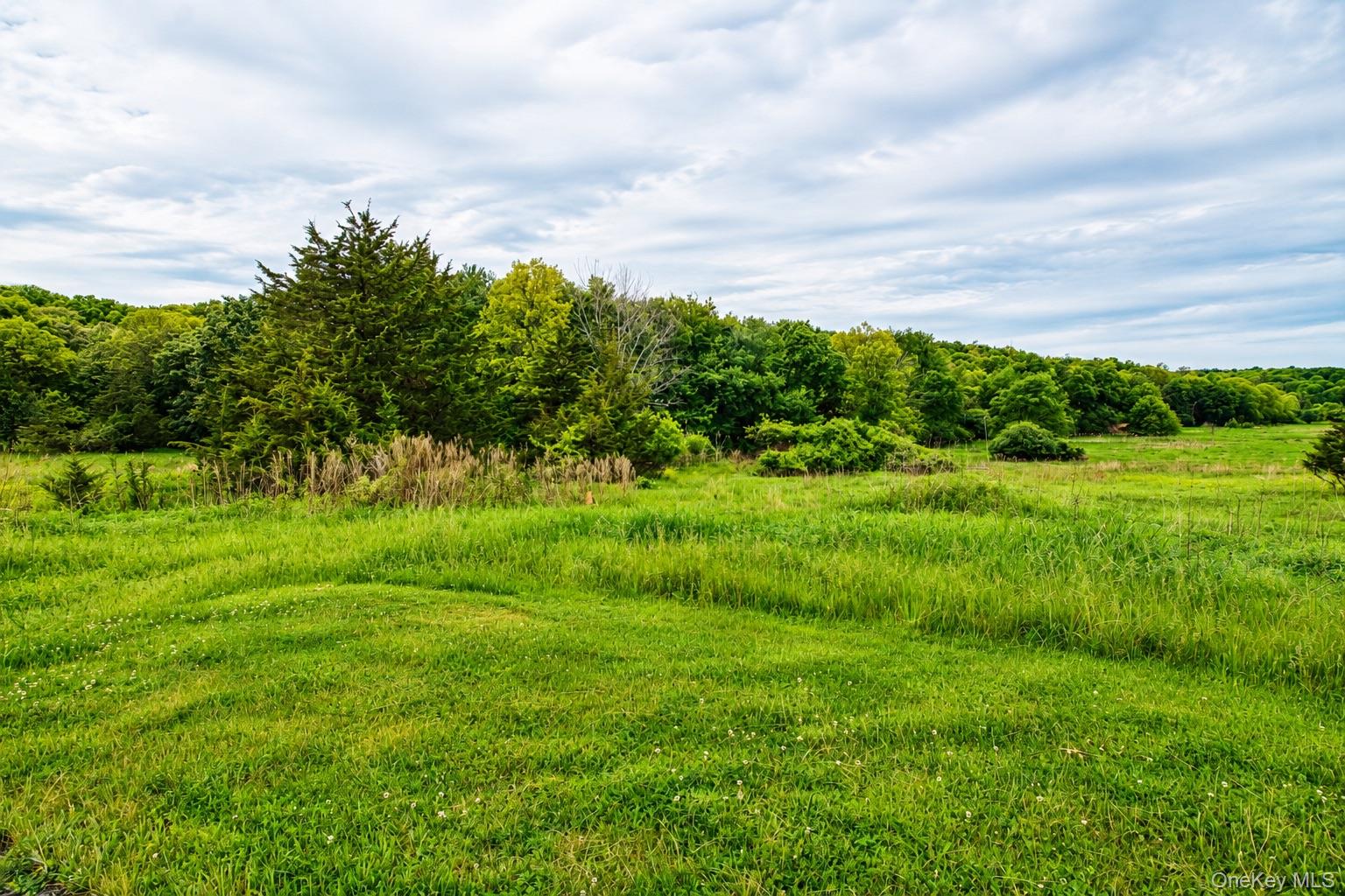 492 Black Meadow Road Chester, NY 10918 - Photo 11 of 18 a view of a green field with plants and large trees