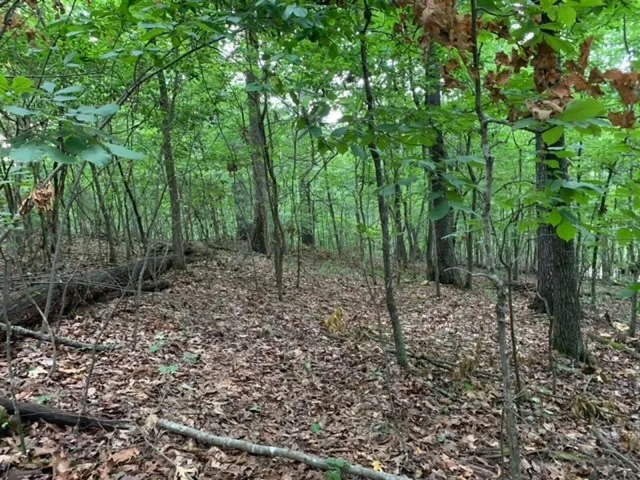 $75,900 | 6314 Rodney Lane, Harrison, TN 37341