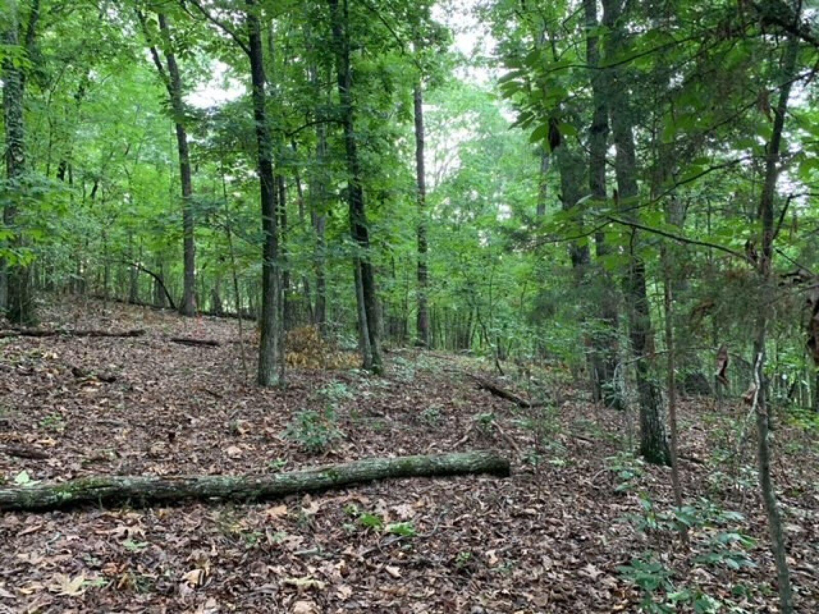 6314 Rodney Lane Harrison, TN 37341 - Photo 5 of 6 5