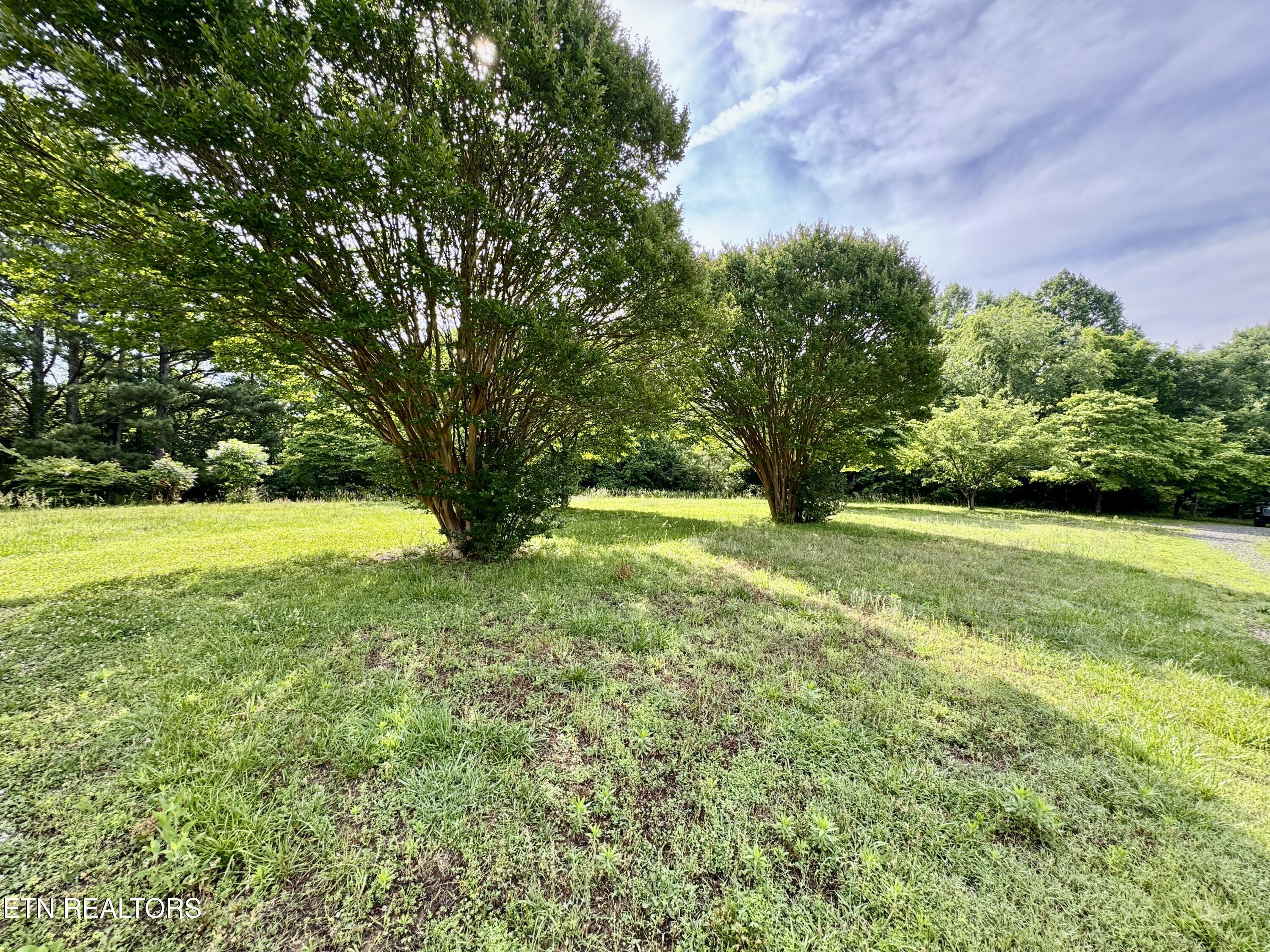 529 Peanut Road Parrottsville, TN 37843 - Photo 24 of 54 1-24