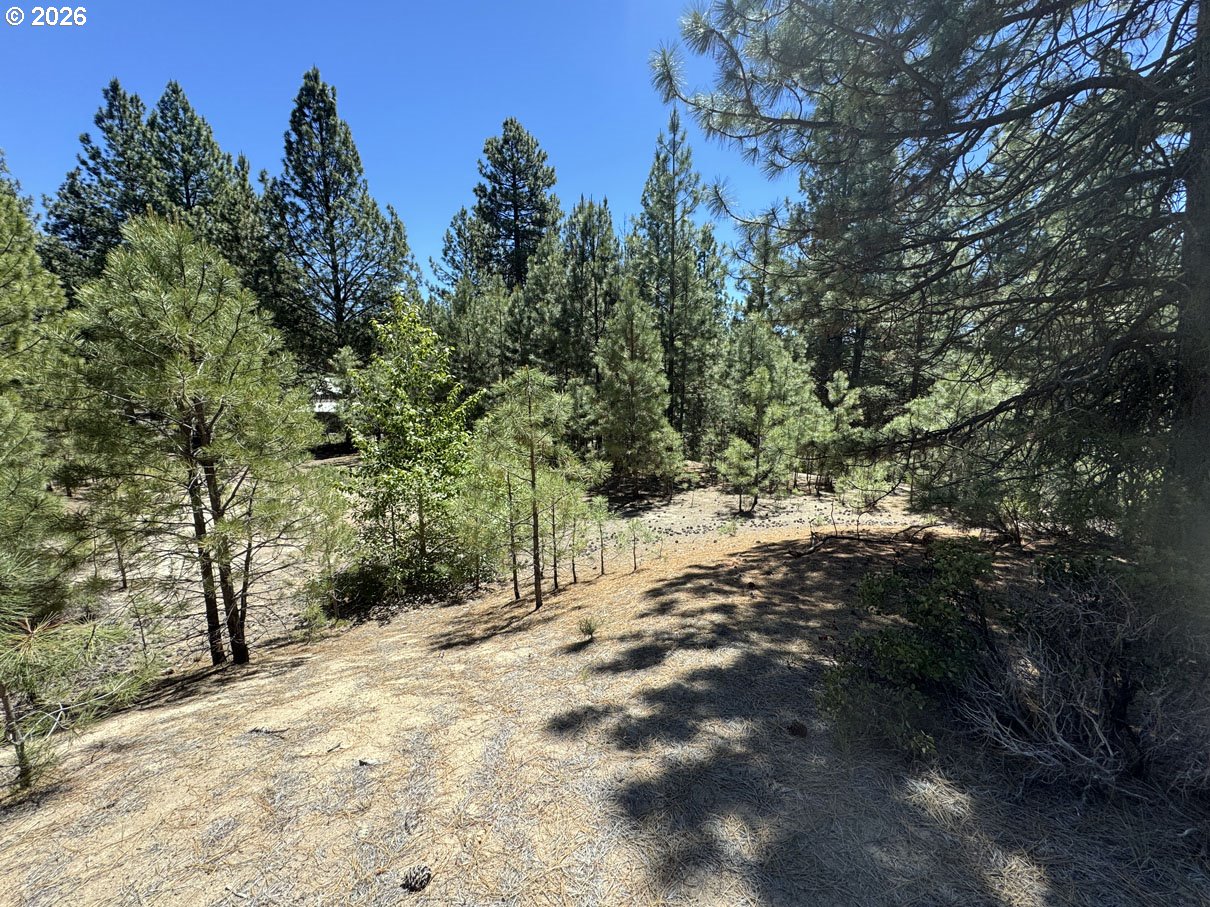 Friendship Drive, Unit 12 Chiloquin, OR 97624 - Photo 4 of 28