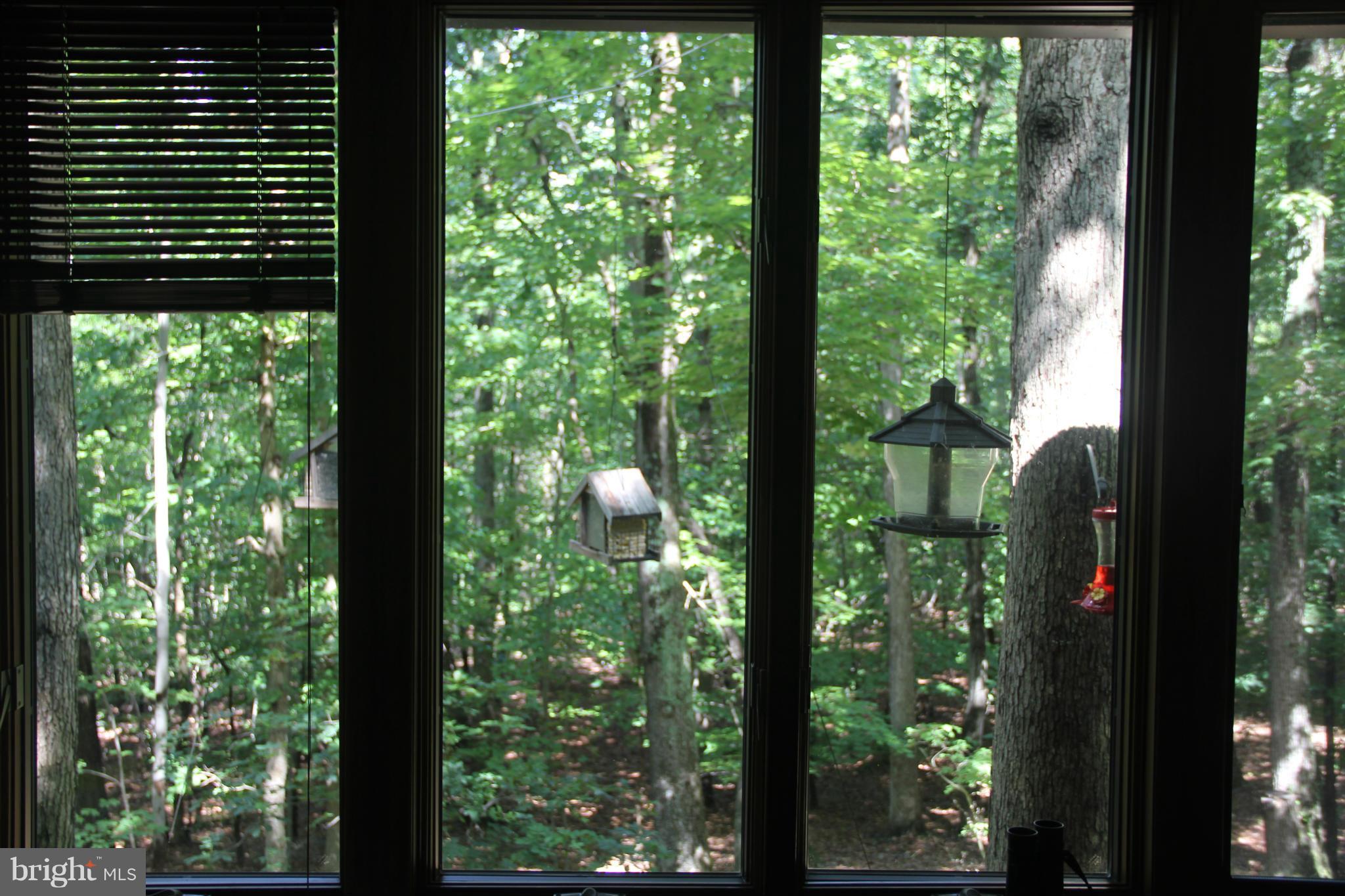 7118 Gilardi Road Boonsboro, MD 21713 - Photo 22 of 29 a view of a garden from a window