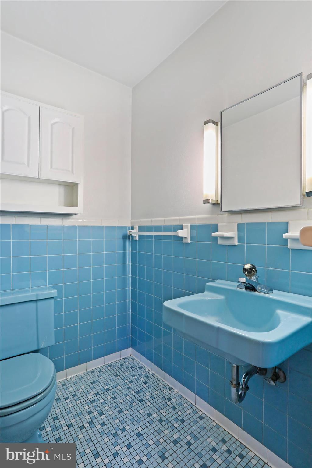 550 Bucks Mill Road Strasburg, VA 22657 - Photo 28 of 57 a bathroom with a sink a toilet and mirror