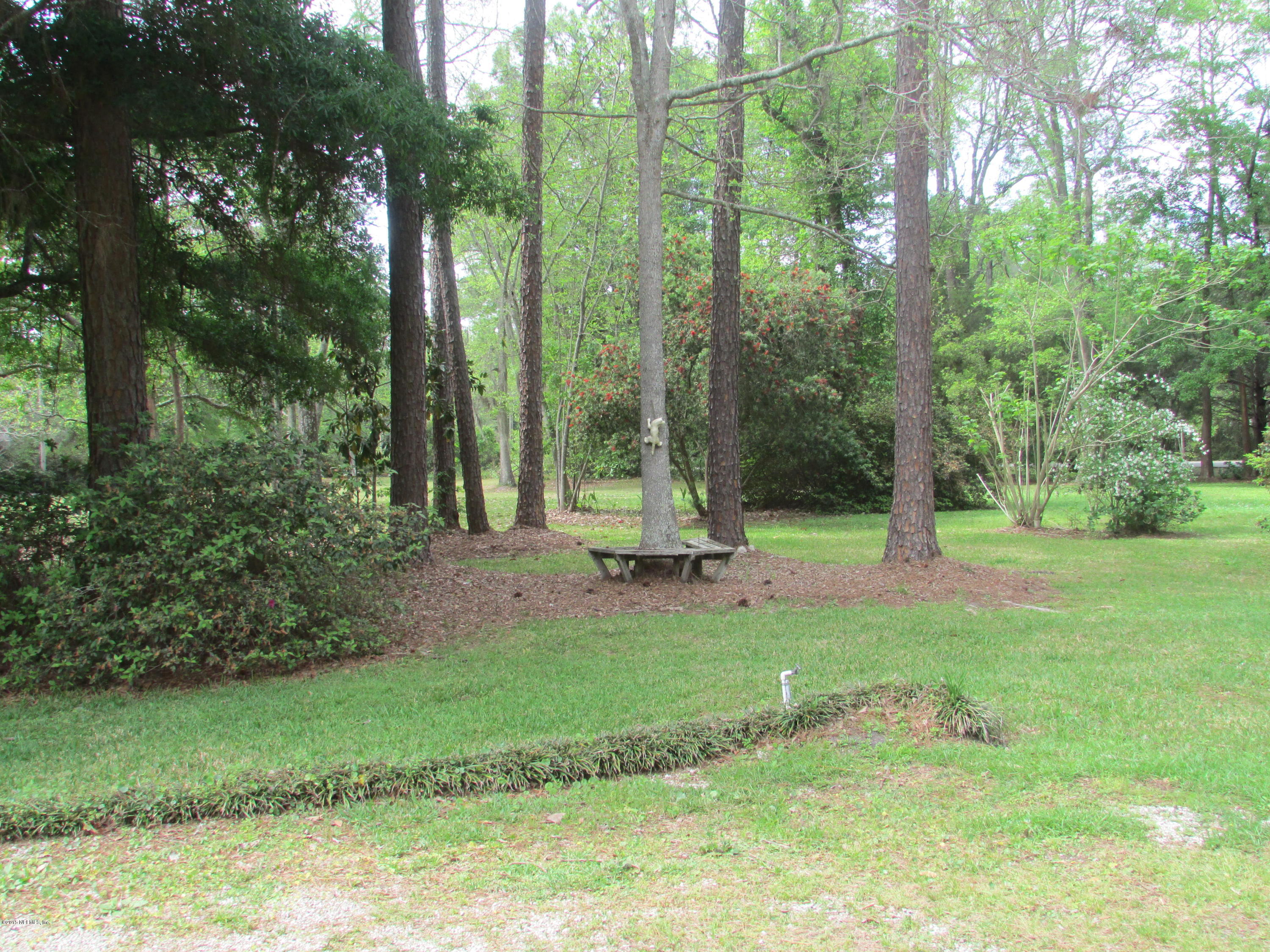 8720 Denny Road Jacksonville, FL 32220 - Photo 17 of 25 Front "Side" Yard