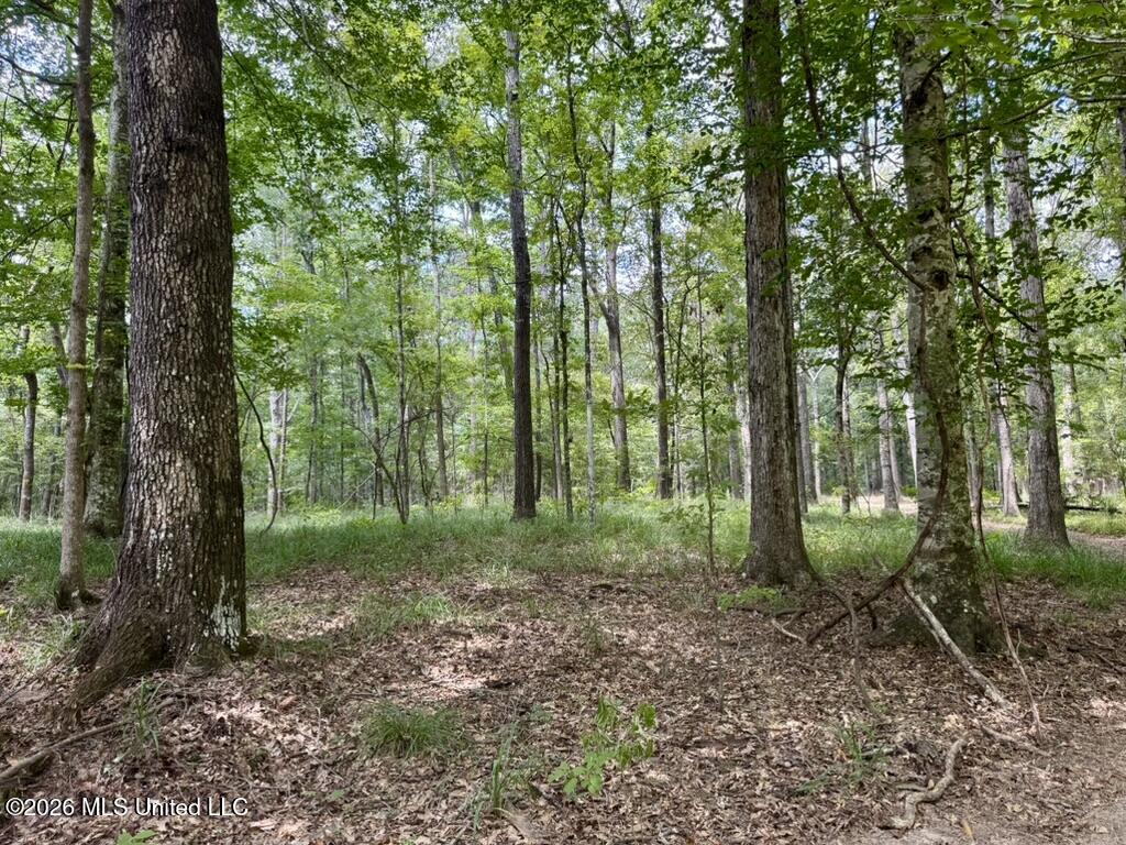1 Chapel Hill Road Utica, MS 39175 - Photo 46 of 107 B9EF300A-F55C-485F-995E-26D5ACBA8E9F_1_1