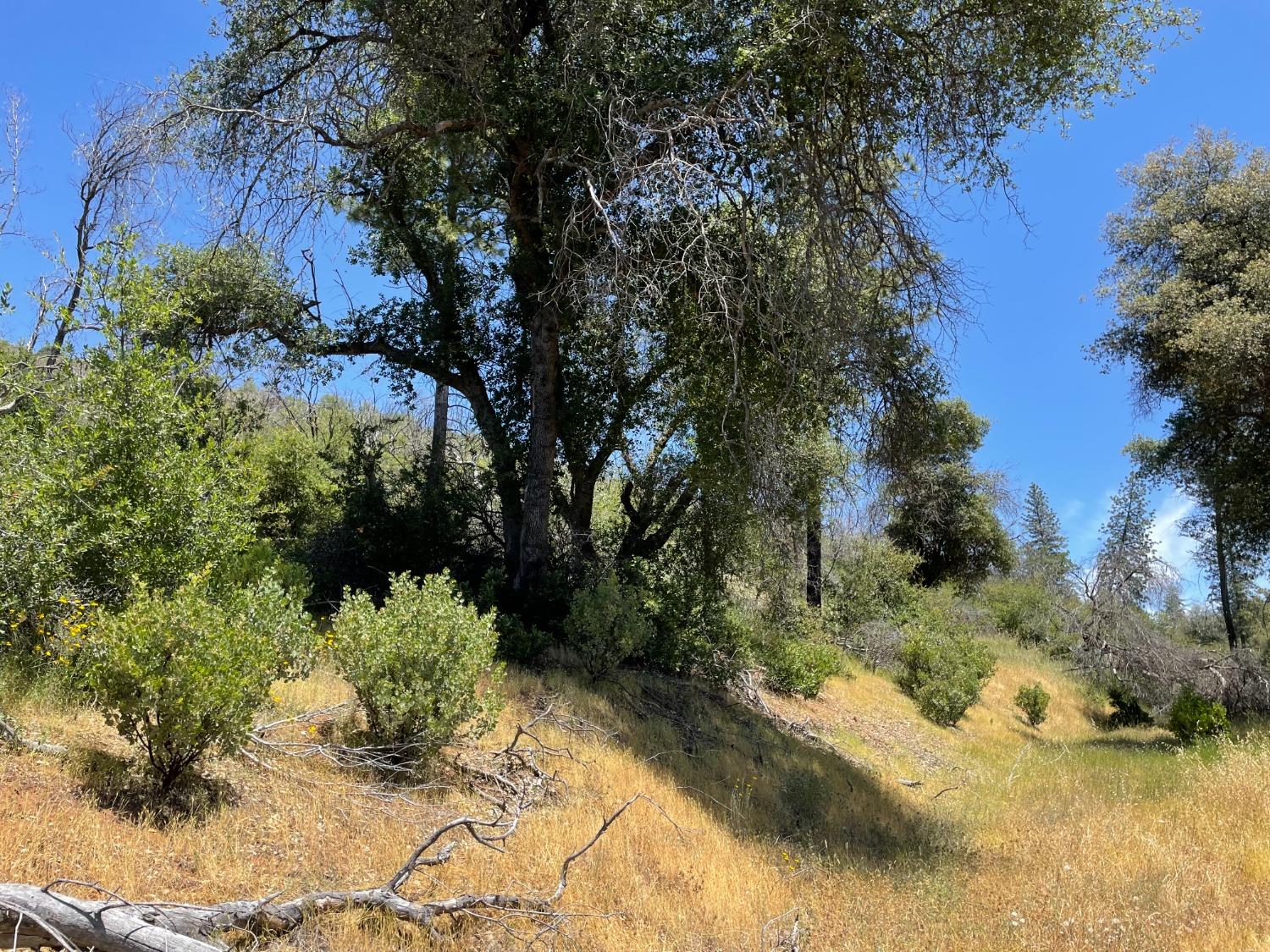 5825 Mountain Ranch Road San Andreas, CA 95249 - Photo 6 of 10 Starting into the property at the driveway.